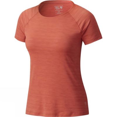 Tee Mountain Hardwear Mighty Stripe Manga Corta Mujer - Naranjas - Chile PHD834619